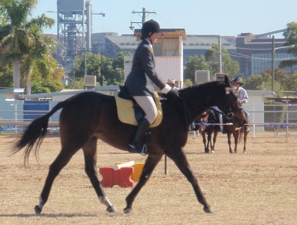 ROYAL SHOW QUALITY Dice is a 7yo, 16.1hh appx, brown TB Gelding, Dice has a cuddly nature and is well behaved to shoe, float and have his teeth done. Dice is a very good doer and is easy to handle. Dice has been ridden for the last 4 years by teenagers and has jumped up to 1m in the past. Dice has placed in both the... $2000 neg QLD