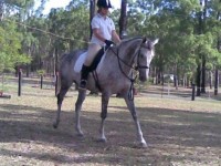 Future small show hack $2000 neg QLD